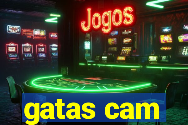 gatas cam